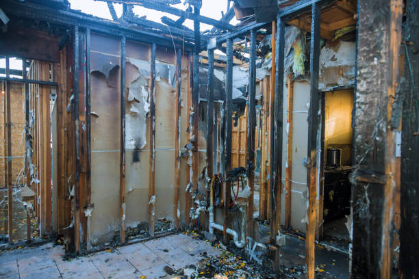 Professional Fire Damage Assessment technician working in Estero, FL