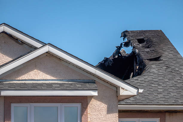 Top rated local Fire Damage Assessment specialists in Estero, FL